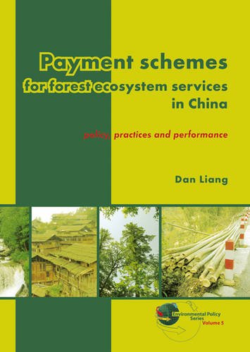 Payment schemes for forest ecosystem services in China: policy, practices and performance