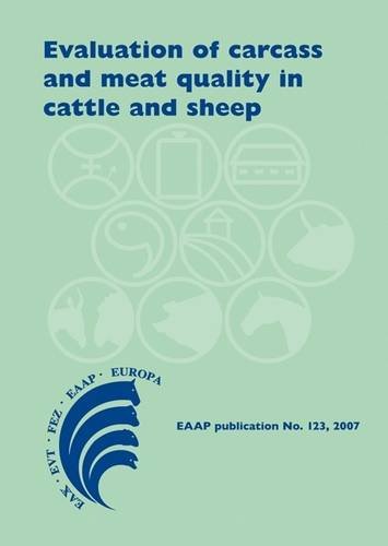 Evaluation Of Carcass And Meat Quality In Ruminants