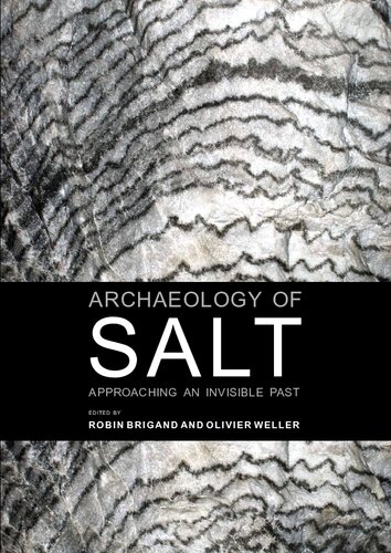 Archaeology of salt : approaching an invisible past