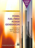 Fossil Fuel-Fired Power Generation