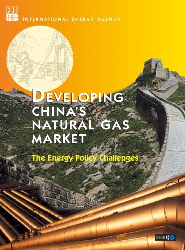 Developing China's Natural Gas Market