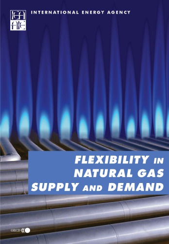 Flexibility in Natural Gas