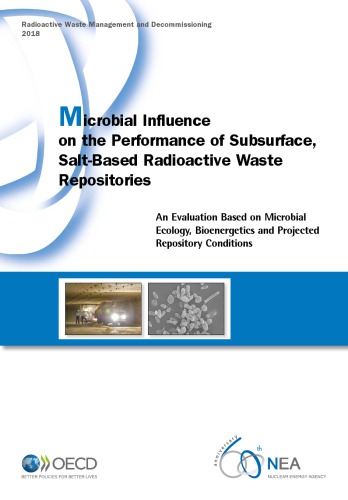 Microbial Influence on the Performance of Subsurface, Salt-Based Radioactive Waste Repositories: An Evaluation Based on Microbial Ecology, Bioenergetics and Projected Repository Conditions