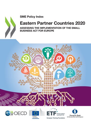 SME POLICY INDEX : eastern partner countries 2020.