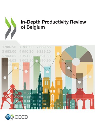 In-depth productivity review of Belgium