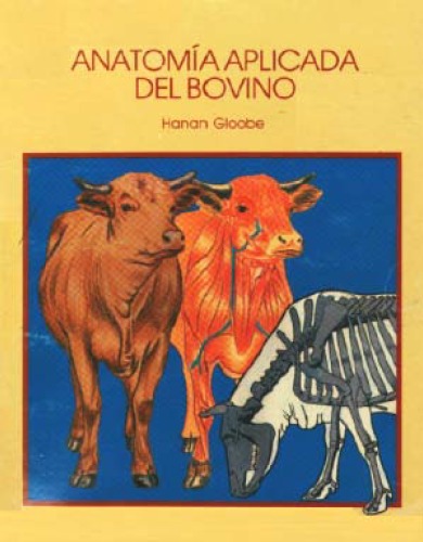 Anatomía aplicada del bovino