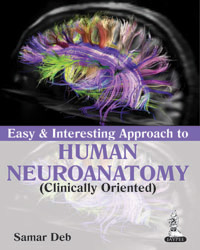 Easy and Interesting Approach to Human Neuroanatomy