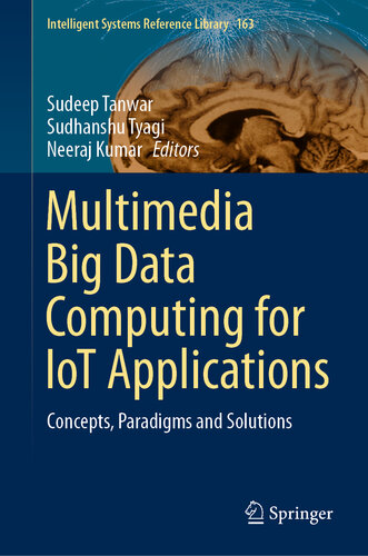 Multimedia BigData Computing for IoT Applications