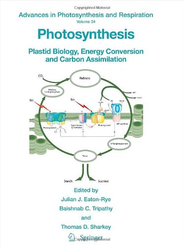 Photosynthesis