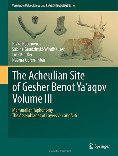 The Acheulian Site of Gesher Benot YA Aqov Volume III