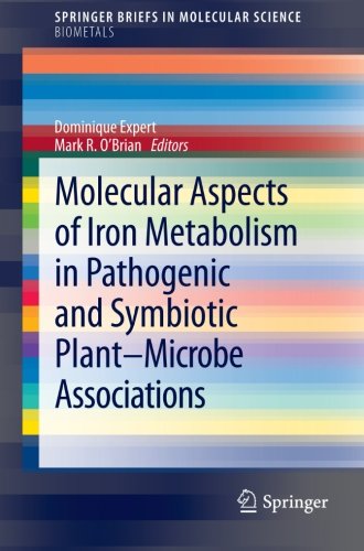 Molecular Aspects of Iron Metabolism in Pathogenic and Symbiotic Plant-Microbe Associations