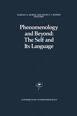 Phenomenology and Beyond