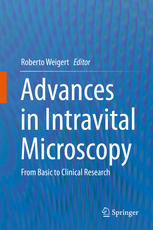 Advances in Intravital Microscopy From Basic to Clinical Research