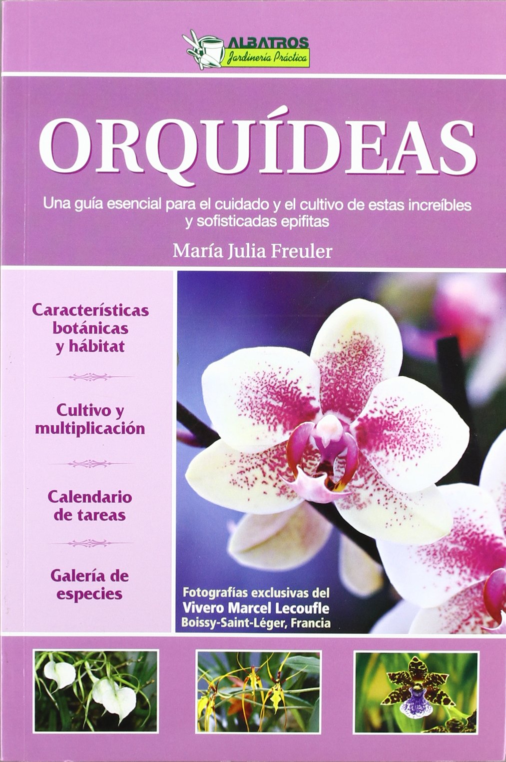 Orquideas/ Orchids