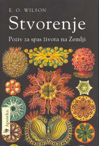 Stvorenje