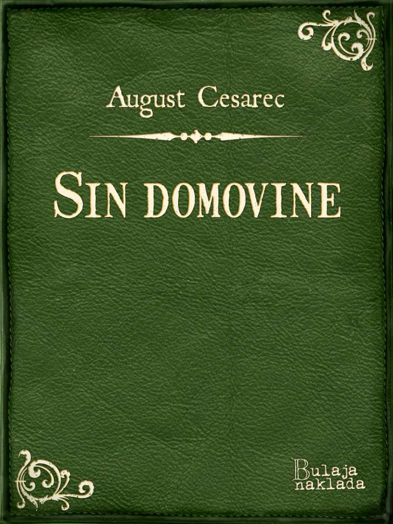 SIN DOMOVINE;IVOTNA DRAMA EUGENA KVATERNIKA