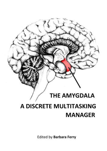 The Irritable Bowel Syndrome How Stress Can Affect The Amygdala Activity and The Brain-Gut Axis