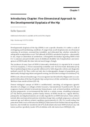 Understanding Hip Biomechanics From Simple Equilibrium To Personalized Hipstress Method
