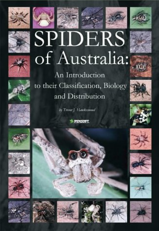 Spiders of Australia