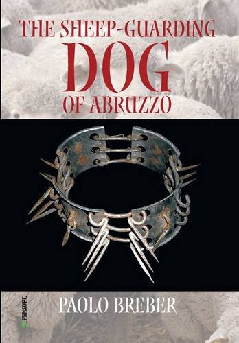 The sheep-guarding dog of Abruzzo