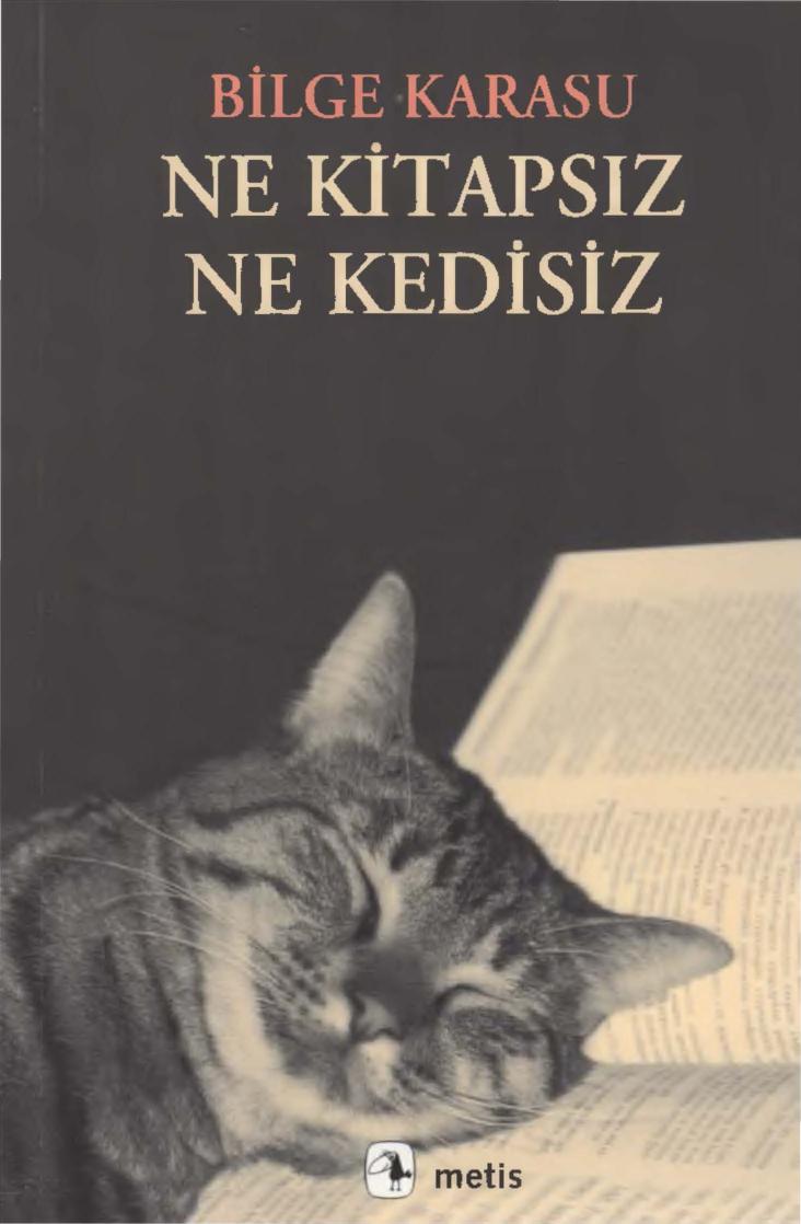 Ne Kitapsız Ne Kedisiz