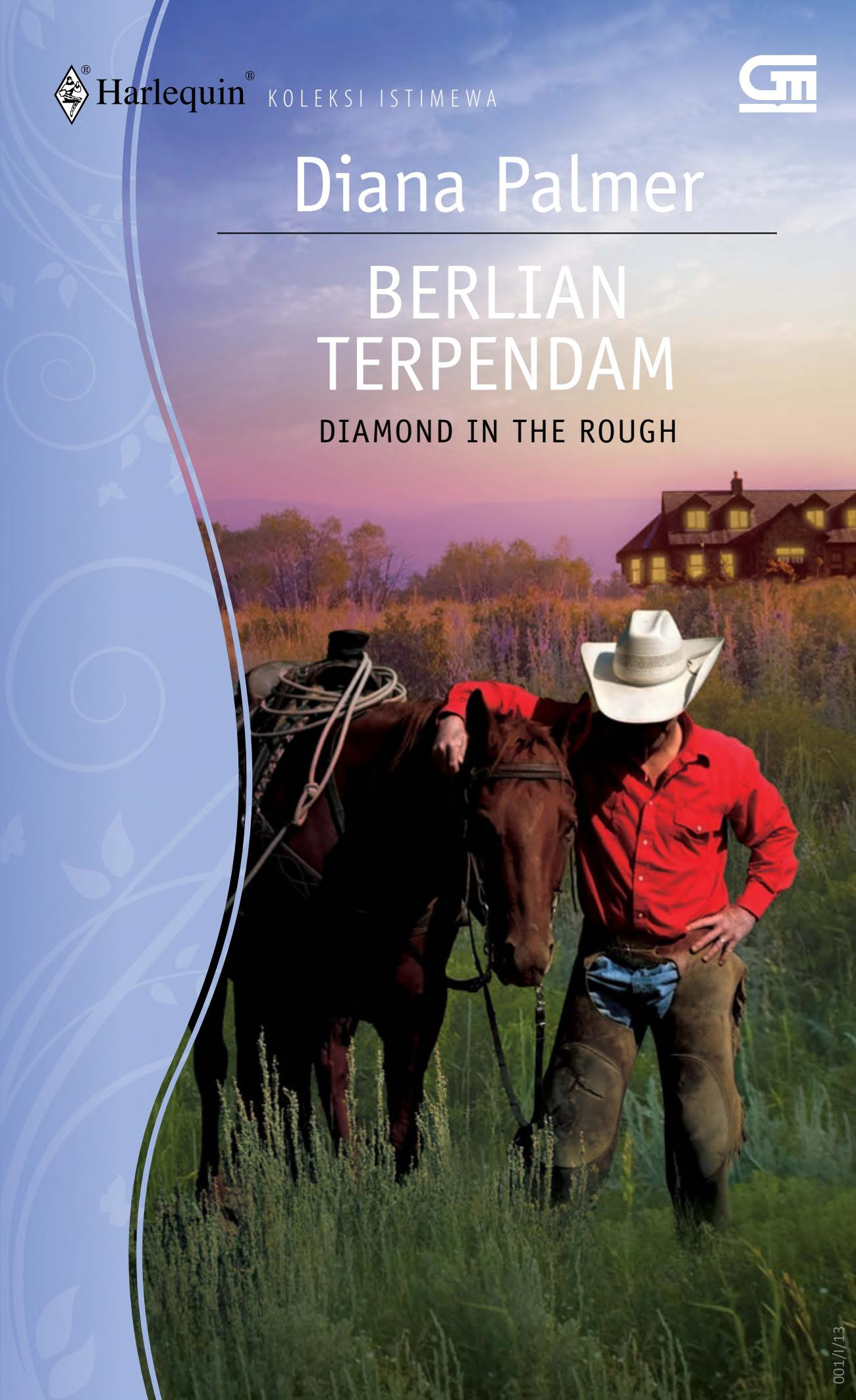 Diamond In The Rough - Berlian Terpendam