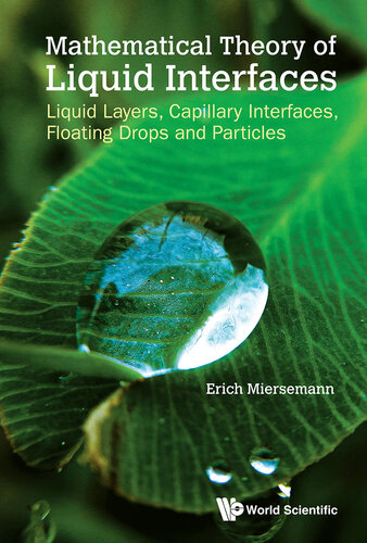 Mathematical Theory of Liquid Interfaces, The