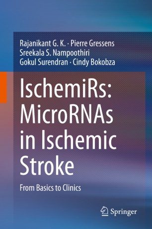 IschemiRs: MicroRNAs in Ischemic Stroke From Basics to Clinics