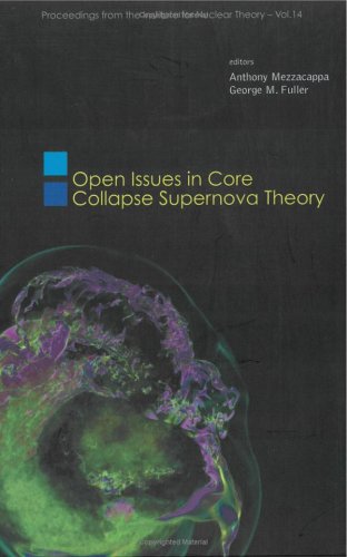 Open Issues in Core Collapse Supernova Theory