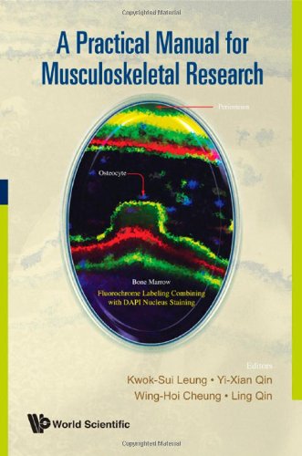 A Practical Manual For Musculoskeletal Research