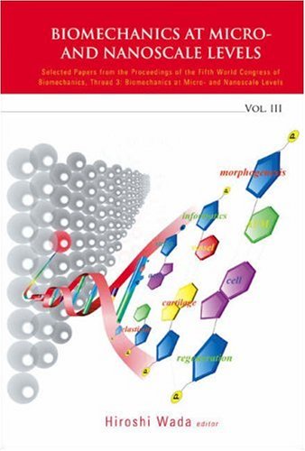 Biomechanics at micro- and nanoscale levels. Vol. III