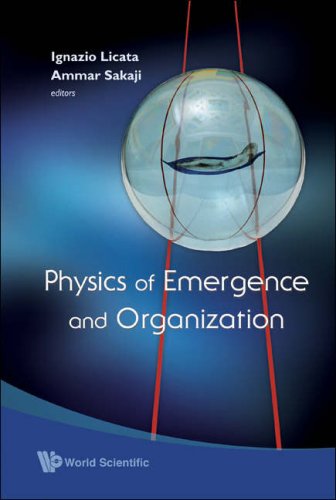 Physics Of Emergence And Organization