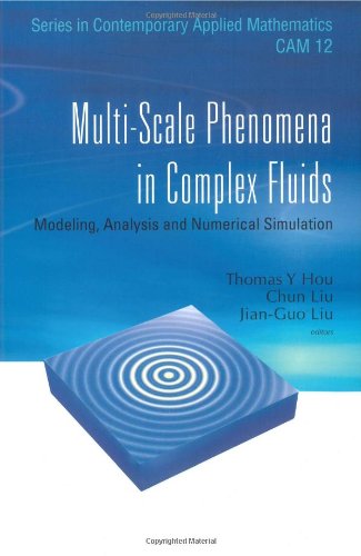 Multi Scale Phenomena In Complex Fluids