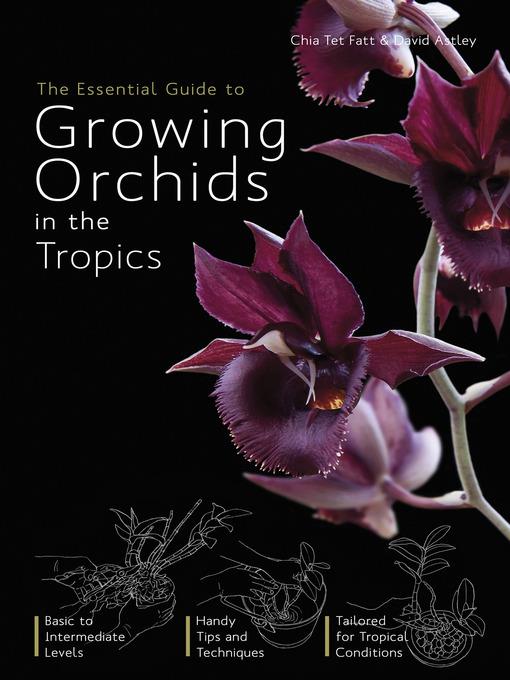 The Essential Guide to Growing Orchids