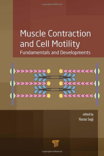 Muscle Contraction and Cell Motility