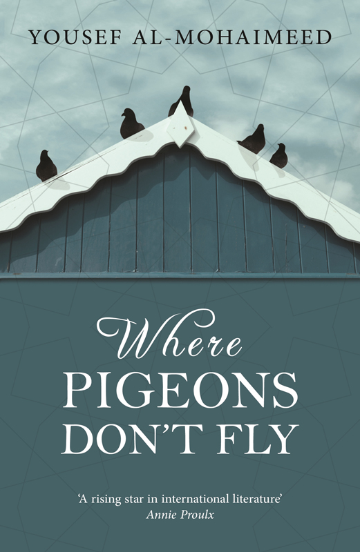 Where Pigeons Don't Fly