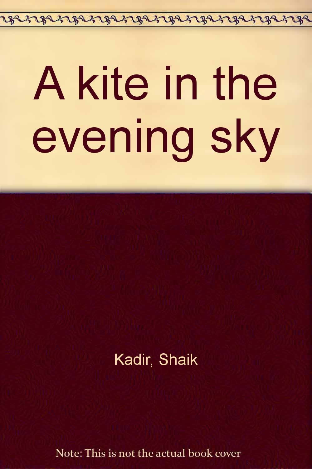 A kite in the evening sky