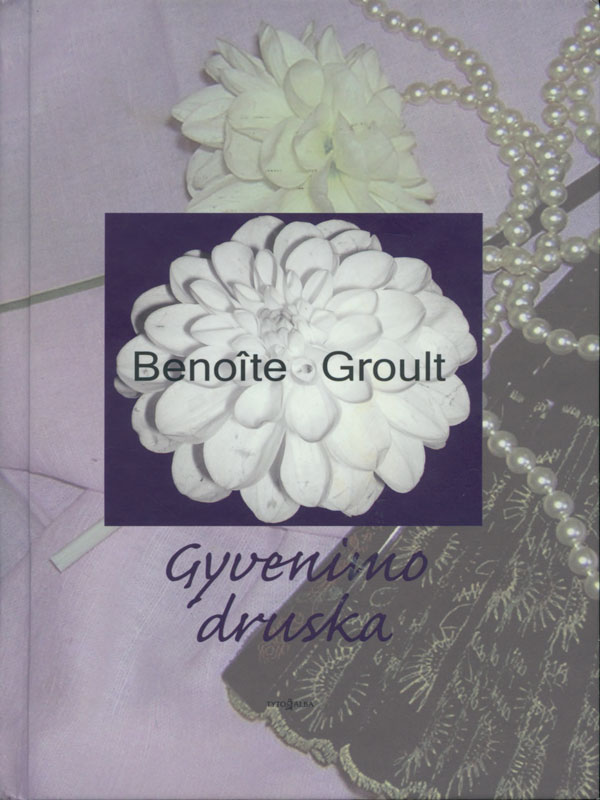 Gyvenimo druska