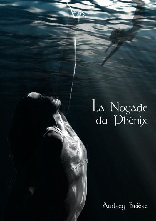 La Noyade du Phénix (French Edition)