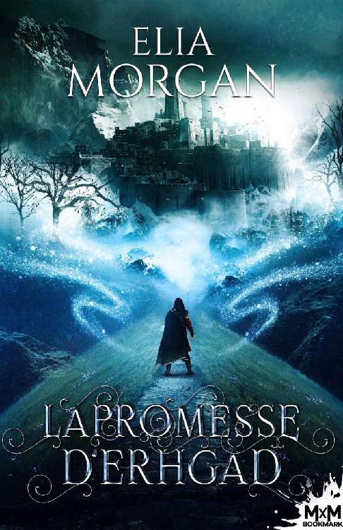 La promesse d'Erhgad (French Edition)