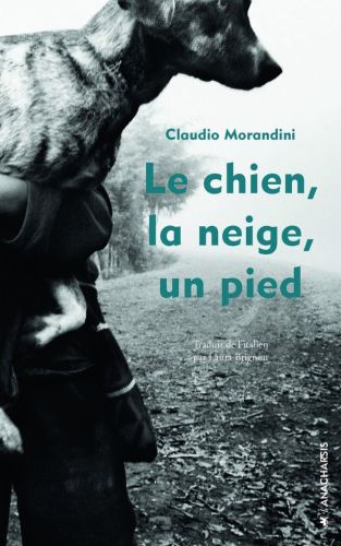 Le chien, la neige, un pied