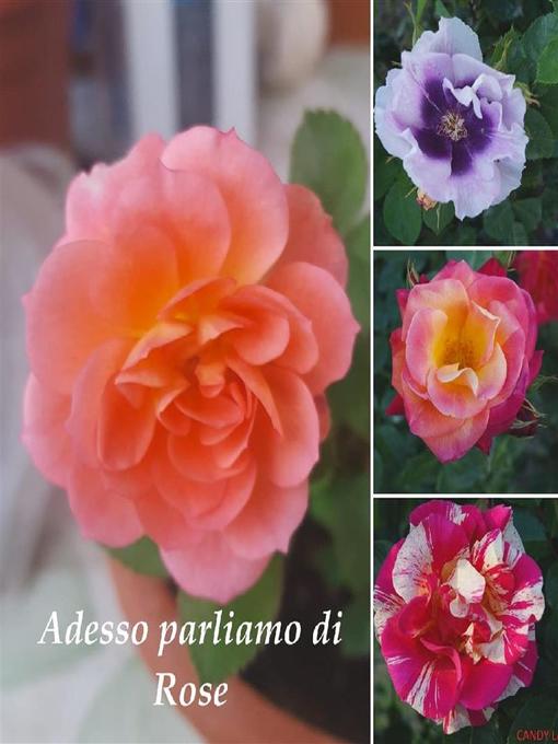 Adesso parliamo di rose