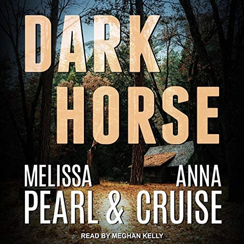 Dark Horse (The Aspen Falls Series)