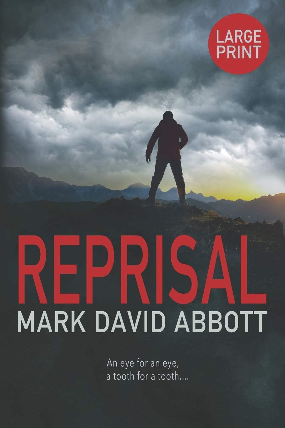 Reprisal: John Hayes #5 (A John Hayes Thriller)