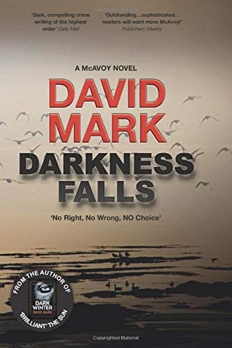 DARKNESS FALLS: The dark and pulse-pounding thriller from Sunday Times best-seller DAVID MARK (McAvoy)