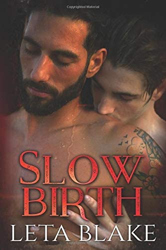 Slow Birth: a Heat of Love bonus novella