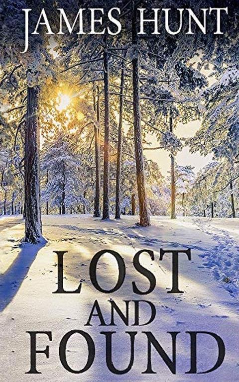 Lost and Found (A North and Martin Abduction Mystery)