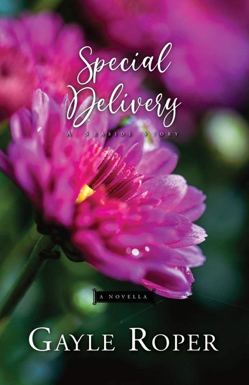 Special Delivery: A Seaside Novella (Seaside Seasons)