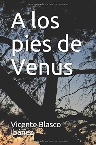 A los pies de Venus (Spanish Edition)