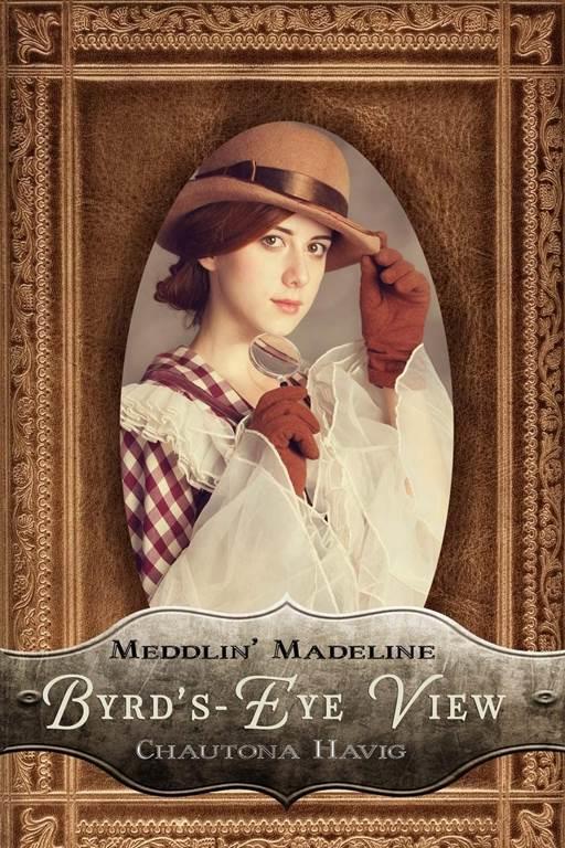 Byrd's-Eye View (Meddlin' Madeline Mysteries)